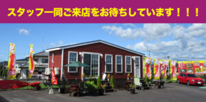 ,安い,軽自動車,軽,宇都宮市,宇都宮,
